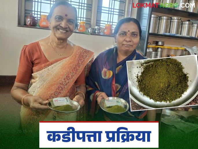 Lakhpati Didi : Lakhpati Didi's Shevga, curryleaf leaf chutney became famous; Read in detail | Lakhpati Didi : लखपती दीदींची शेवगा, कढीपत्ता चटणी झाली फेमस; वाचा सविस्तर
