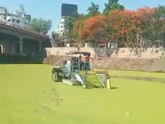 Finally, the moment of lockdown came, the excavation of Panveli from Godavari river started in nashik | अखेर लॉकडाऊनचा मुहूर्त साधला, गोदावरी नदीतून पानवेलीचे काढकाम सुरू