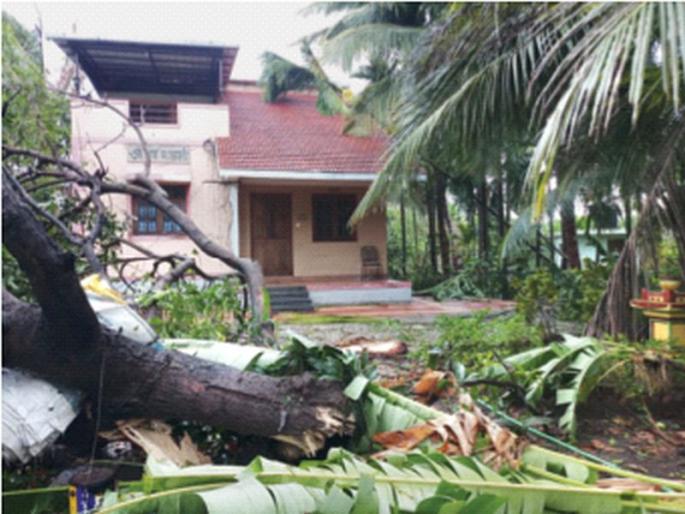 Storm victims still have to sell the world | वादळग्रस्तांना आजही वेचावे लागतात संसार; ३ जून रायगड जिल्ह्यासाठी ठरला काळा दिवस Storm victims still have to sell the world | वादळग्रस्तांना आजही वेचावे लागतात संसार; ३ जून रायगड जिल्ह्यासाठी ठरला काळा दिवस