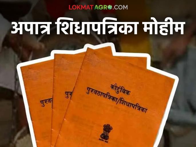 Latest News ration card Update Campaign to find and cancel ineligible ration cards, new government decision | Ration Card : कुणाचं रद्द होणार, कुणाला मिळणार नवीन रेशन कार्ड, जाणून घ्या सविस्तर Latest News ration card Update Campaign to find and cancel ineligible ration cards, new government decision | Ration Card : कुणाचं रद्द होणार, कुणाला मिळणार नवीन रेशन कार्ड, जाणून घ्या सविस्तर