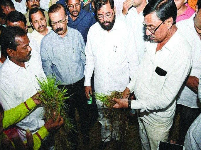 Will not leave the farmers on or off | शेतकऱ्यांना वाºयावर सोडणार नाही - एकनाथ शिंदे Will not leave the farmers on or off | शेतकऱ्यांना वाºयावर सोडणार नाही - एकनाथ शिंदे