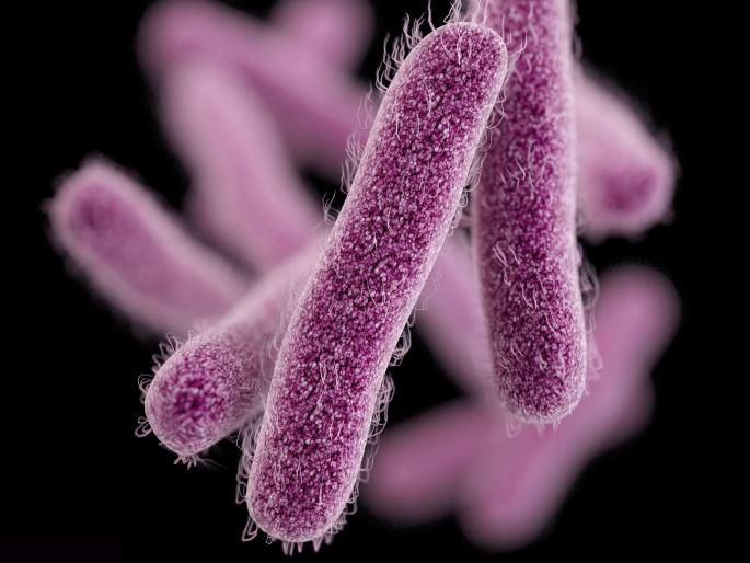 at least 8 cases of shigella disease found in kerala | कोरोनानंतर आता 'शिगेला'चा धोका; केरळमध्ये ८ रुग्ण सापडल्यानं खळबळ