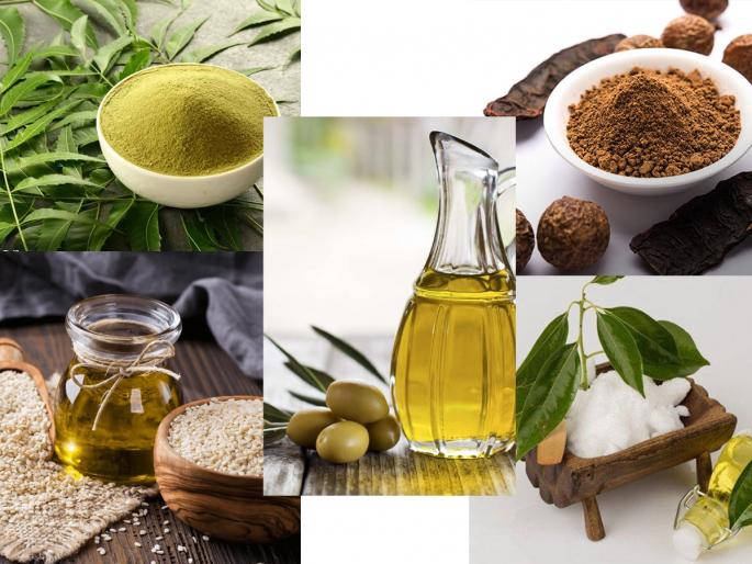 Traditional shikakai remedy for beautiful hair;How to use shikakai for strong ,long and shiny hair? | सुंदर केसांसाठी पारंपरिक शिकेकाईचा उपाय; वापरा शिकेकाईचे 4 हेअरपॅक, केस होतील लांबसडक-काळेभोर