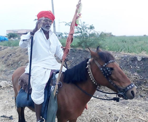 The 65-year-old grandmother's horse riding on the horn | ६५ वर्षीय वयोवृध्द भाविकाची घोड्यावरून शिंगणापूर वारी The 65-year-old grandmother's horse riding on the horn | ६५ वर्षीय वयोवृध्द भाविकाची घोड्यावरून शिंगणापूर वारी
