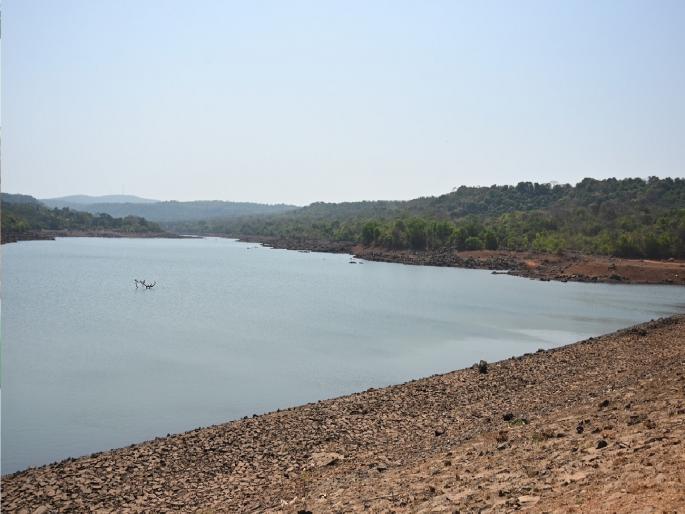 1.176 million cubic meters of water storage in Sheel dam which supplies water to Ratnagiri city | रत्नागिरीकरांना दिलासा, तूर्तास पाणी कपात नाही 1.176 million cubic meters of water storage in Sheel dam which supplies water to Ratnagiri city | रत्नागिरीकरांना दिलासा, तूर्तास पाणी कपात नाही