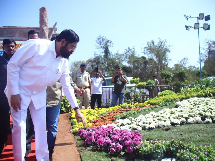 ‘Eat organic vegetables for a healthy life’; Eknath Shinde expressed his opinion | ‘निरोगी आयुष्यासाठी सेंद्रिय भाजीपाला खा’; एकनाथ शिंदेंनी व्यक्त केले मत ‘Eat organic vegetables for a healthy life’; Eknath Shinde expressed his opinion | ‘निरोगी आयुष्यासाठी सेंद्रिय भाजीपाला खा’; एकनाथ शिंदेंनी व्यक्त केले मत