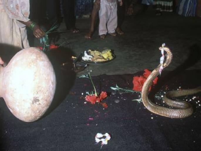 Change in traffic route at Shirala on Nag Panchami day | Sangli News: नागपंचमीदिवशी शिराळ्याला जाताय? त्याआधी वाचा ही बातमी