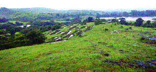 Shirsagarga is a water-rich village! | शिरसगाव होतंय जलसमृद्ध गाव! Shirsagarga is a water-rich village! | शिरसगाव होतंय जलसमृद्ध गाव!