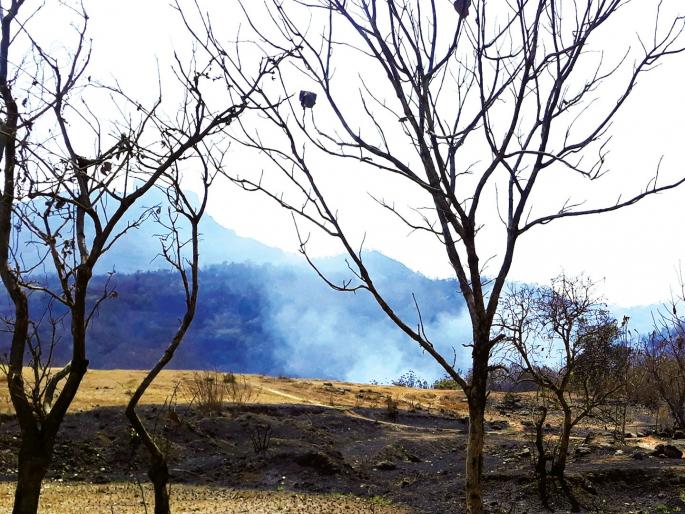 Repeat the hill of Shirgaon | शिरगावच्या डोंगराला पुन्हा वणवा Repeat the hill of Shirgaon | शिरगावच्या डोंगराला पुन्हा वणवा