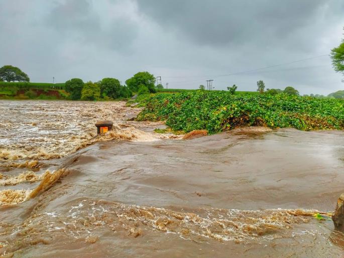 Shirol, Rajapur dams under water, rising water levels in rivers | शिरोळ, राजापूर बंधारे पाण्याखाली, नद्यांच्या पाणी पातळीत वाढ Shirol, Rajapur dams under water, rising water levels in rivers | शिरोळ, राजापूर बंधारे पाण्याखाली, नद्यांच्या पाणी पातळीत वाढ