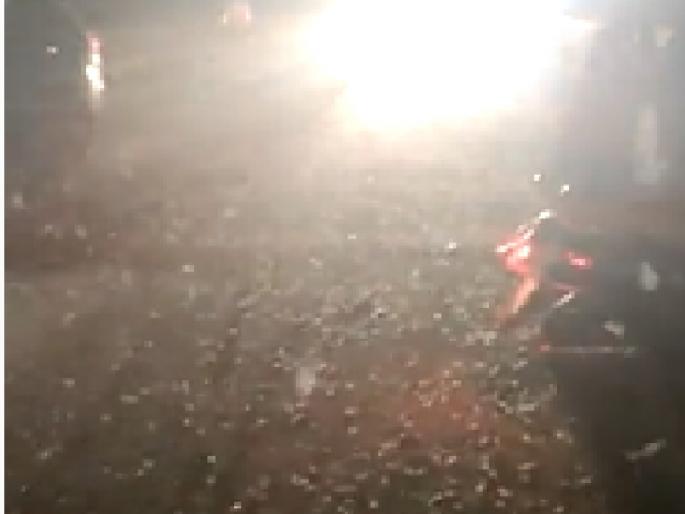 Traffic congestion on the highway due to Shemti worms, 25 two-wheeler accidents in kolhapur | कोल्हापूर: शेमटी किड्यांमुळे महामार्गावर वाहतुकीची कोंडी, २५ दुचाकी घसरल्या Traffic congestion on the highway due to Shemti worms, 25 two-wheeler accidents in kolhapur | कोल्हापूर: शेमटी किड्यांमुळे महामार्गावर वाहतुकीची कोंडी, २५ दुचाकी घसरल्या