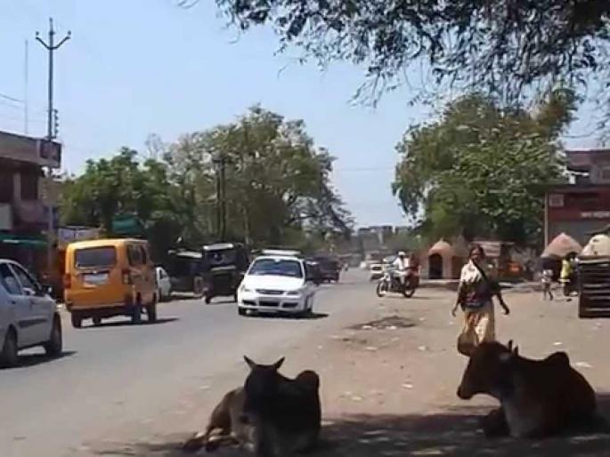 Shirsoli road will be completed within a year a meeting will be held in Mumbai on Tuesday for the work | शिरसोली रस्ता वर्षभरात होणार पूर्ण, कामासाठी मंगळवारी मुंबईत होणार बैठक Shirsoli road will be completed within a year a meeting will be held in Mumbai on Tuesday for the work | शिरसोली रस्ता वर्षभरात होणार पूर्ण, कामासाठी मंगळवारी मुंबईत होणार बैठक