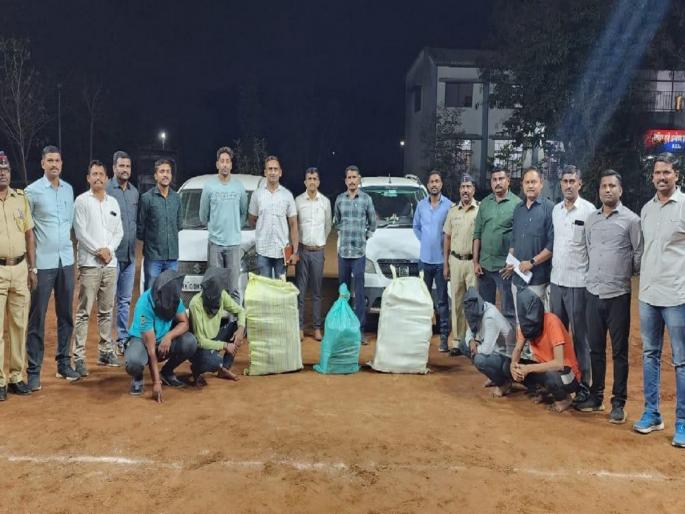 A gang of four arrested in connection with ganja smuggling in Sangli | सांगलीत गांजा तस्करीप्रकरणी चौघांची टोळी जेरबंद A gang of four arrested in connection with ganja smuggling in Sangli | सांगलीत गांजा तस्करीप्रकरणी चौघांची टोळी जेरबंद