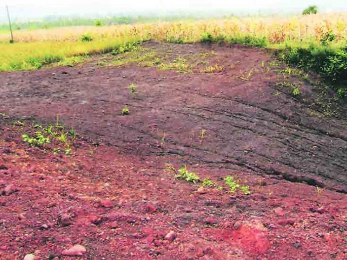 50 lakh hectares degraded land will be made fertile in 10 years Says Prakash Javadekar | मोदी सरकारचा बिग प्लॅन! पुढील 10 वर्षात देशातील शेतकऱ्यांना होणार मोठा फायदा 50 lakh hectares degraded land will be made fertile in 10 years Says Prakash Javadekar | मोदी सरकारचा बिग प्लॅन! पुढील 10 वर्षात देशातील शेतकऱ्यांना होणार मोठा फायदा