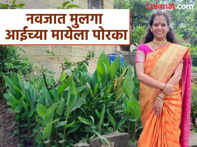 Baby mother dies just three days after giving birth in kolhapur | Kolhapur News: गोंडस चिमुकल्याला जन्म दिला, घरी आनंदाचे वातावरण; तोच.. 