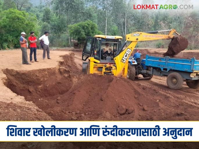 Latest News Agriculture News Farmers are getting subsidy for deepening and widening of fields | Agriculture News : शिवार खोलीकरण व रूंदीकरणांसाठी शेतकऱ्यांना हेक्टरी 'इतके' अनुदान मिळतंय!