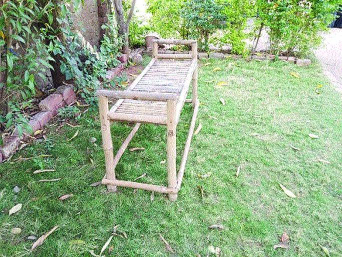 Now after the school of Aajibai, nature camp in Murbad | आजीबाईंच्या शाळेनंतर आता मुरबाडमध्ये निसर्गशाळा Now after the school of Aajibai, nature camp in Murbad | आजीबाईंच्या शाळेनंतर आता मुरबाडमध्ये निसर्गशाळा