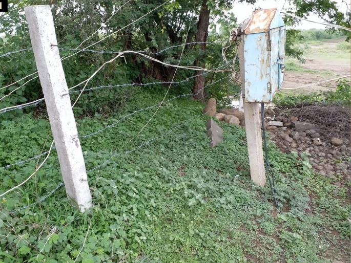 five year old boy dies due to electric shock in gondia | करंट लागून पाच वर्षाच्या चिमुकल्याचा मृत्यू five year old boy dies due to electric shock in gondia | करंट लागून पाच वर्षाच्या चिमुकल्याचा मृत्यू