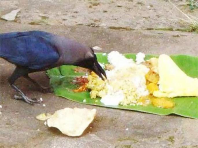 Funeral, postponement of the ritual | स्मशानातील कर्तव्य पूर्ण केल्यानंतर अंत्यकर्म, श्राद्धविधी लांबणीवर टाकण्यास मुभा Funeral, postponement of the ritual | स्मशानातील कर्तव्य पूर्ण केल्यानंतर अंत्यकर्म, श्राद्धविधी लांबणीवर टाकण्यास मुभा