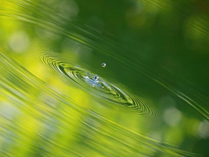 Laughing, dancing, a little laziness 'Shravan' came! | हासरा नाचरा जरासा लाजरा 'श्रावण' आला !