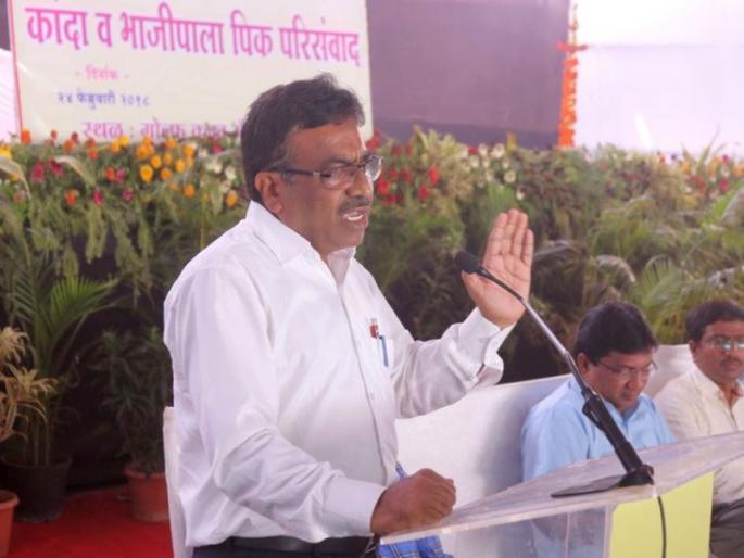 Biological fertilizers and crops need time: Shridhar Desle | जैविक खते व पिके ही काळाची गरज : श्रीधर देसले Biological fertilizers and crops need time: Shridhar Desle | जैविक खते व पिके ही काळाची गरज : श्रीधर देसले