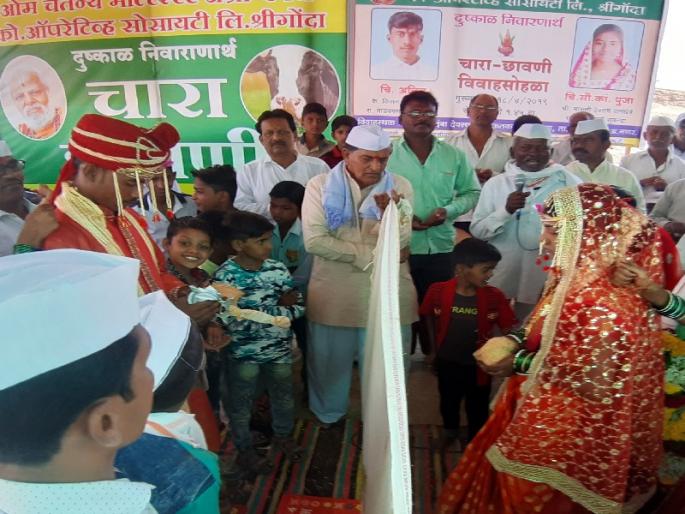 Happy Marriage in the camp of cattle at Mandavgon | मांडवगण येथे जनावरांच्या छावणीत झाले शुभमंगल Happy Marriage in the camp of cattle at Mandavgon | मांडवगण येथे जनावरांच्या छावणीत झाले शुभमंगल