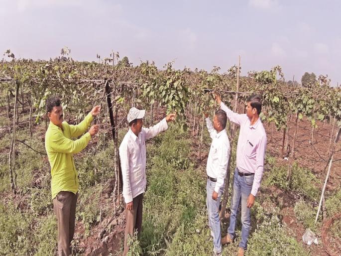 2 crore loss in Pargah due to return rains | परतीच्या पावसाने पारगावात ५०० कोटींचे नुकसान