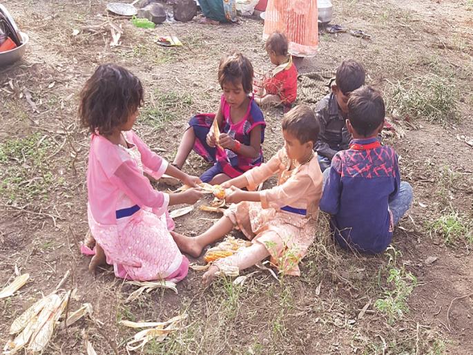 Children's Children's Day on the cane harvest! | पालावरच ऊस तोडणी मजुरांच्या मुलांचा बाल दिन! Children's Children's Day on the cane harvest! | पालावरच ऊस तोडणी मजुरांच्या मुलांचा बाल दिन!