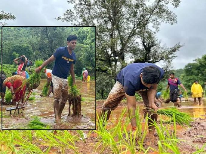 Chief Minister son Shrikant Shinde too Farming, Immersed in rice planting | मुख्यमंत्र्यांचे पुत्र श्रीकांत शिंदेही राबताहेत शेतात!, भात लावणीत मग्न Chief Minister son Shrikant Shinde too Farming, Immersed in rice planting | मुख्यमंत्र्यांचे पुत्र श्रीकांत शिंदेही राबताहेत शेतात!, भात लावणीत मग्न