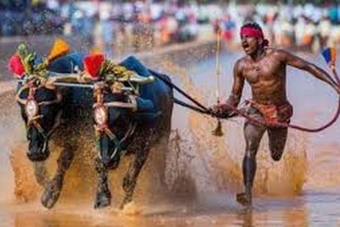 Don't overload expectations! | अवास्तव अपेक्षांचे ओझे नको!