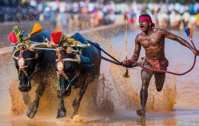 Srinivas Gowda, who broke Usain Bolt's world record, rejected narendra Modi governments' s offer | उसेन बोल्टचा विश्वविक्रम मोडणाऱ्या Srinivas Gowdaने मोदी सरकारच्या ऑफरला दिला नकार