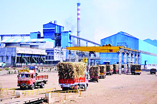 Shimga agitation of retired workers against Shriram | श्रीराम विरोधात निवृत्त कामगारांचे शिमगा आंदोलन Shimga agitation of retired workers against Shriram | श्रीराम विरोधात निवृत्त कामगारांचे शिमगा आंदोलन