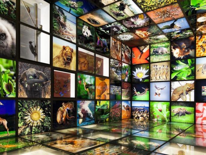 Maharashtra's first gene bank for biodiversity in the country | देशात जैवविविधतेची पहिली जीन बँक महाराष्ट्रात Maharashtra's first gene bank for biodiversity in the country | देशात जैवविविधतेची पहिली जीन बँक महाराष्ट्रात