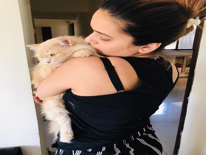 Shivani Surve is pet lover, she has 3 wonderful cats | शिवानी सुर्वेचं प्राणीप्रेम, तिच्याकडे आहेत ३ गोजिरवाण्या मांजरी Shivani Surve is pet lover, she has 3 wonderful cats | शिवानी सुर्वेचं प्राणीप्रेम, तिच्याकडे आहेत ३ गोजिरवाण्या मांजरी