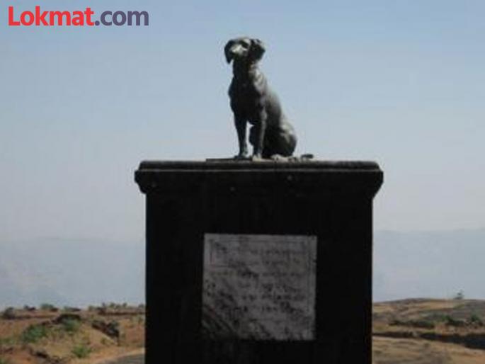 pune news Bhushan Singh Raje Holkar A committee of scholars should be appointed for vaghya | इतिहासाच्या आधारे सत्य बाहेर यावे; वाघ्या श्वानासाठी अभ्यासकांची समिती नेमावी