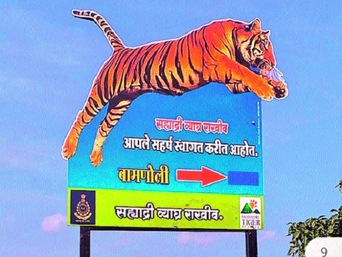 Awareness about wildlife through the picture pane .. | चित्र फलकांमधून वन्यप्राण्यांबाबत जनजागृती.. Awareness about wildlife through the picture pane .. | चित्र फलकांमधून वन्यप्राण्यांबाबत जनजागृती..