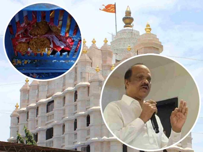 mla Sada Saravankar rejects allegation that rats were found in mumbai siddhivinayak mandir prasad | 'हे कुणाचं तरी षडयंत्र', सिद्धिविनायक प्रसादात उंदीर आढळल्याचे आरोप सदा सरवणकरांनी फेटाळले mla Sada Saravankar rejects allegation that rats were found in mumbai siddhivinayak mandir prasad | 'हे कुणाचं तरी षडयंत्र', सिद्धिविनायक प्रसादात उंदीर आढळल्याचे आरोप सदा सरवणकरांनी फेटाळले