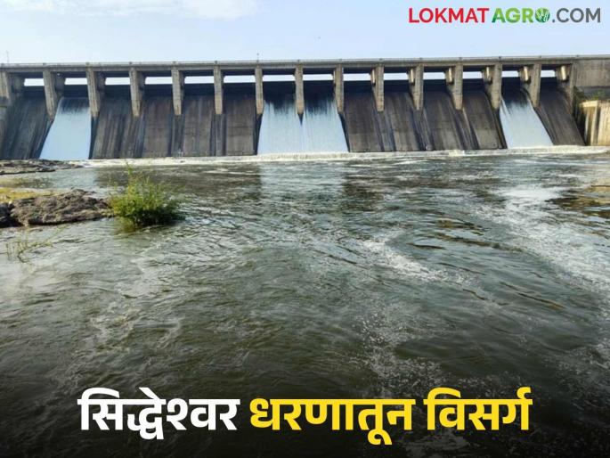 latest news Siddheshwar Dam Water: Release from Siddheshwar Dam at any moment; Alert to villages along the river | Siddheshwar Dam Water : सिद्धेश्वर धरणातून कोणत्याही क्षणी विसर्ग; नदीकाठच्या गावांना अलर्ट