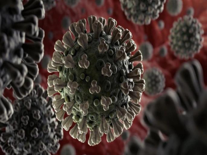 Coronavirus: Woman healthcare worker in Spain catches Covid-19 twice within 20 days | Coronavirus: कोरोना संक्रमणाचा हैराण करणारा प्रकार समोर; वैज्ञानिकही चक्रावले, अवघ्या २० दिवसांत... Coronavirus: Woman healthcare worker in Spain catches Covid-19 twice within 20 days | Coronavirus: कोरोना संक्रमणाचा हैराण करणारा प्रकार समोर; वैज्ञानिकही चक्रावले, अवघ्या २० दिवसांत...