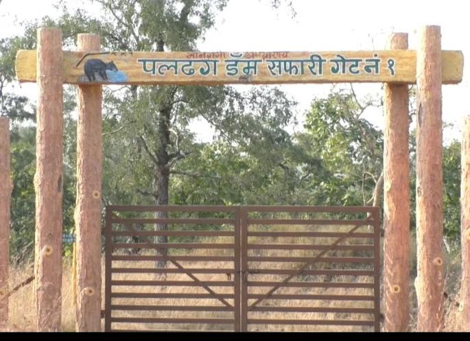 Signs of resumption of forest tourism | वनपर्यटन पुन्हा बंद होण्याचे संकेत Signs of resumption of forest tourism | वनपर्यटन पुन्हा बंद होण्याचे संकेत