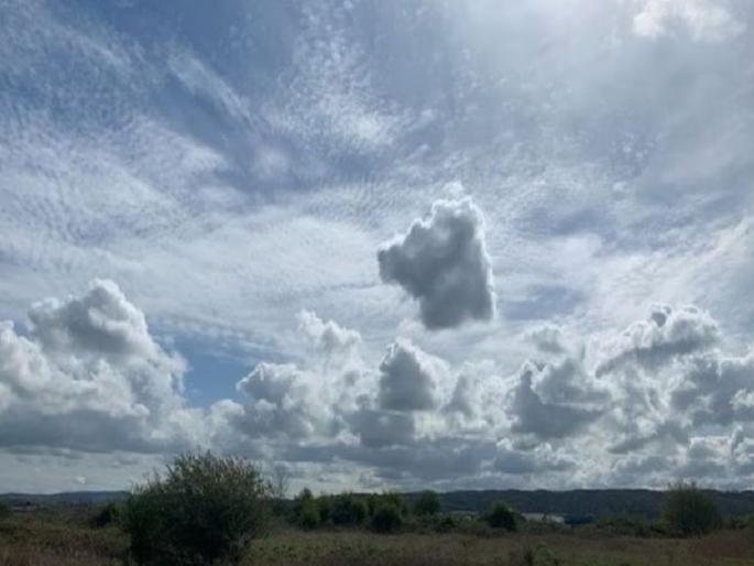 The mercury rose, civilians tormented by heat; 36.6 in Nagpur, rise of 2-3 degrees everywhere | पारा उसळला, उकाड्याने छळले; नागपुरात ३६.६, सर्वत्र २-३ अंशाची वाढ The mercury rose, civilians tormented by heat; 36.6 in Nagpur, rise of 2-3 degrees everywhere | पारा उसळला, उकाड्याने छळले; नागपुरात ३६.६, सर्वत्र २-३ अंशाची वाढ
