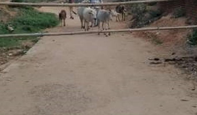 Trainee Police Personnel Positive, Nimkhed Village Seal | प्रशिक्षणार्थी पोलिस कर्मचारी पॉझिटिव्ह, निमखेड गाव सील