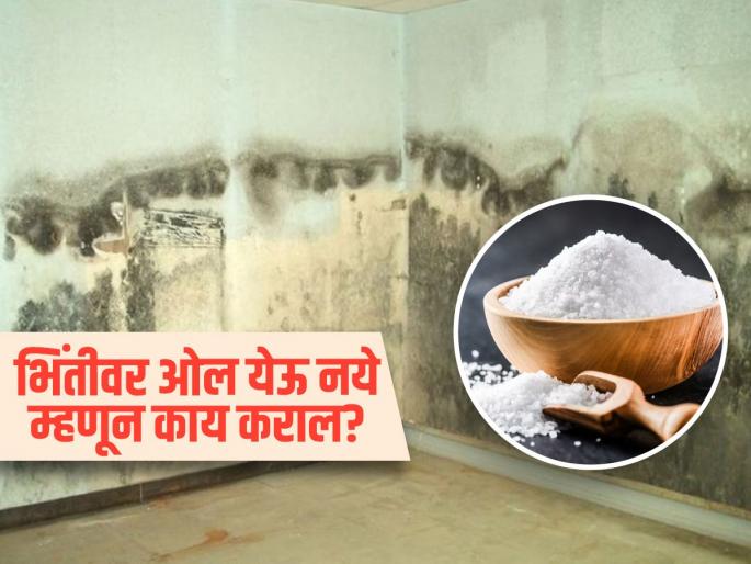 Home care tips : How to get rid dampness in rainy season | ओल आल्यानं भिंतींचं होतं मोठं नुकसान, खोलीत ठेवा 'ही' एक गोष्ट; ना पोपडे पडतील ना लागेल बुरशी