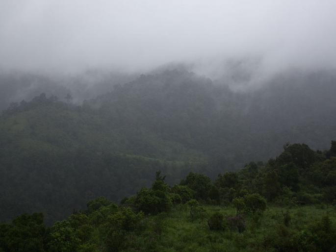 All about world heritage site silent valley in Kerala | नावाप्रमाणेच तुम्हाला शांतता देणारी सायलेंट व्हॅली, पैसा वसूल ट्रिपसाठी करा प्लॅन! All about world heritage site silent valley in Kerala | नावाप्रमाणेच तुम्हाला शांतता देणारी सायलेंट व्हॅली, पैसा वसूल ट्रिपसाठी करा प्लॅन!
