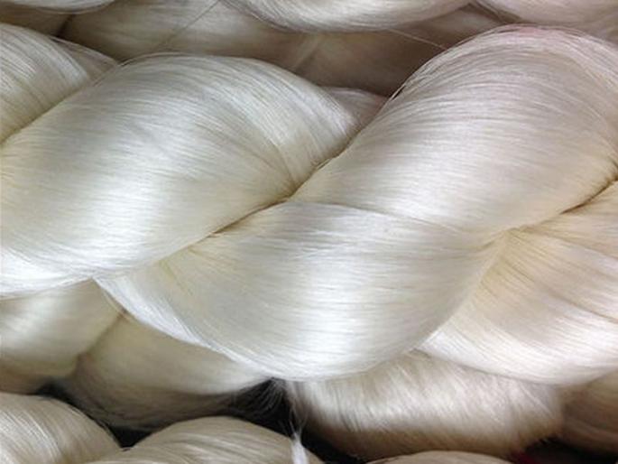 Solapur: Silk market in Solapur after Jalanya in the state | Solapur: राज्यात जालन्यानंतर रेशीम बाजारपेठ सोलापुरात Solapur: Silk market in Solapur after Jalanya in the state | Solapur: राज्यात जालन्यानंतर रेशीम बाजारपेठ सोलापुरात