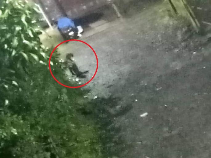 Leopards roam in the urban areas of Bhirwande Bivanewadi in Kankavali taluka | सिंधुदुर्ग: भिरवंडे बिवणेवाडीत भरवस्तीत बिबट्याचा वावर, नागरिकांमध्ये भीतीचे वातावरण Leopards roam in the urban areas of Bhirwande Bivanewadi in Kankavali taluka | सिंधुदुर्ग: भिरवंडे बिवणेवाडीत भरवस्तीत बिबट्याचा वावर, नागरिकांमध्ये भीतीचे वातावरण