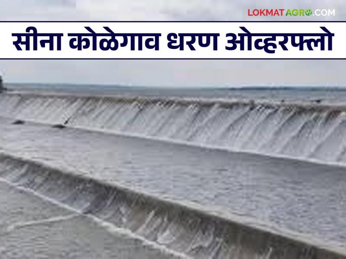 Sina Dam : Sina Kolegaon Project hundred percent; 2212 cusecs discharge into the Sina River | Sina Dam : सीना कोळेगाव प्रकल्प शंभर टक्के; २२१२ क्यूसेकने सिना नदीत विसर्ग Sina Dam : Sina Kolegaon Project hundred percent; 2212 cusecs discharge into the Sina River | Sina Dam : सीना कोळेगाव प्रकल्प शंभर टक्के; २२१२ क्यूसेकने सिना नदीत विसर्ग