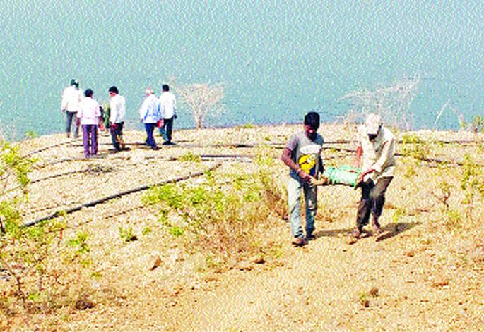 Action on Illegal Agricultural Pumps on Sina-Kollgaon Dam; Farmers threw stones at the team | सीना-कोळगाव धरणावरील बेकायदेशीर शेतीपंपांवर कारवाई; शेतकºयांनी केली पथकावर दगडफेक Action on Illegal Agricultural Pumps on Sina-Kollgaon Dam; Farmers threw stones at the team | सीना-कोळगाव धरणावरील बेकायदेशीर शेतीपंपांवर कारवाई; शेतकºयांनी केली पथकावर दगडफेक
