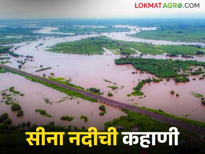 Latest news Sina River flood Solapur, Marathwada flood source of Sina River and through which districts it flows | Sina River Flood : सीना नदी कोणकोणत्या जिल्ह्यातून वाहते, एरवी शांत असणाऱ्या नदीनं वाट कशी बदलली?