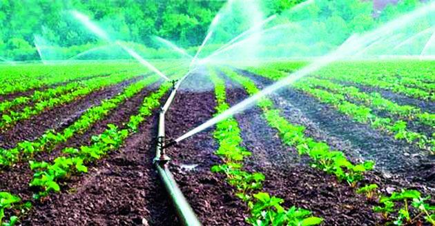 Due to the drought-hit 14 districts, the area under irrigation is less than four and a half lakh hectares! | अवर्षणग्रस्त १४ जिल्ह्यात साडेचार लाख हेक्टर क्षेत्र सिंचनाखाली आणण्यावर भर! Due to the drought-hit 14 districts, the area under irrigation is less than four and a half lakh hectares! | अवर्षणग्रस्त १४ जिल्ह्यात साडेचार लाख हेक्टर क्षेत्र सिंचनाखाली आणण्यावर भर!